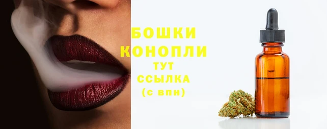 ешки Верхний Тагил