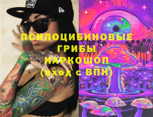ешки Верхний Тагил